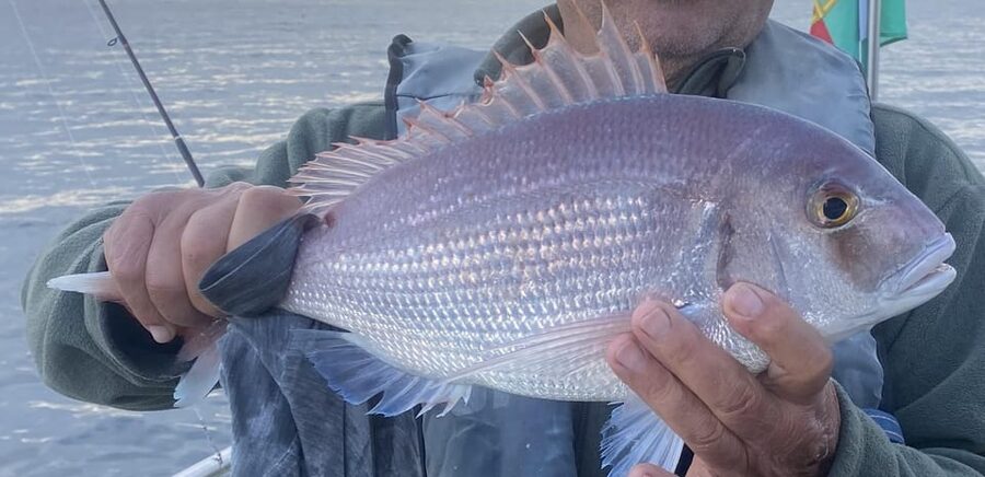 Bottom Fishing Lagos - Bottom fishing near Lagos, why it works for beginners
