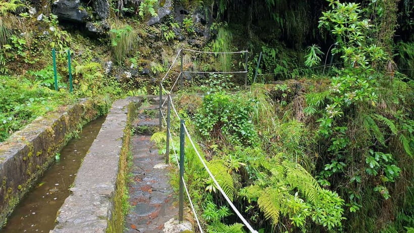 Caldeirão Verde: Levada Caldeirao Verde Hiking Transfer - Price and value: $39 plus the required 4.5 EUR tax