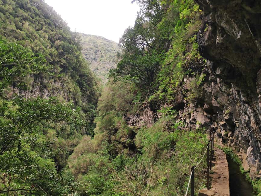 Caldeirão Verde: Levada Caldeirao Verde Hiking Transfer - Laurissilva Forest and the levada viewpoint you actually remember