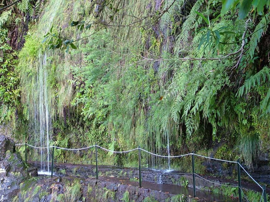 Caldeirão Verde: Levada Caldeirao Verde Hiking Transfer - Optional swim at the Caldeirão Verde lagoon