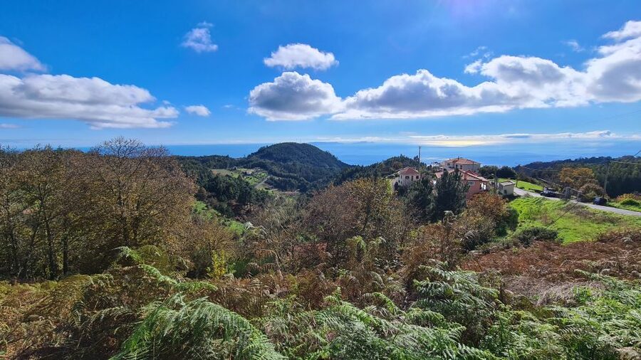 Camacha: Levada Trail e-Bike Guided Tour - Key Highlights You Should Not Miss