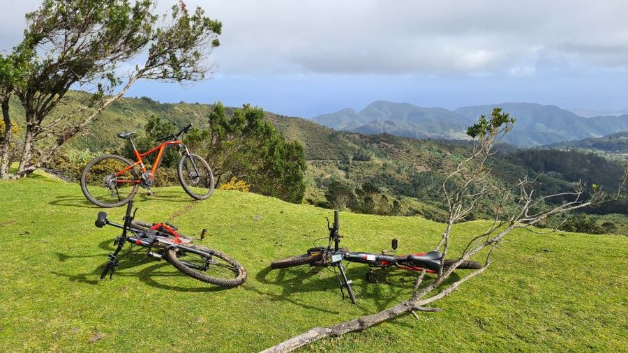 Camacha: Levada Trail e-Bike Guided Tour - Downhill Through Oaks and Back to Camacha via the Levada