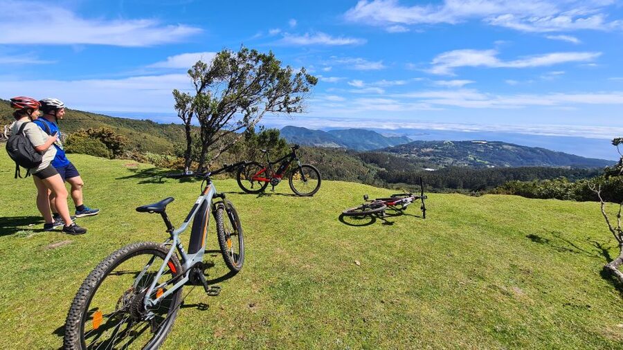 Camacha: Levada Trail e-Bike Guided Tour - Pickup, Group Size, and Bike Setup That Makes It Click