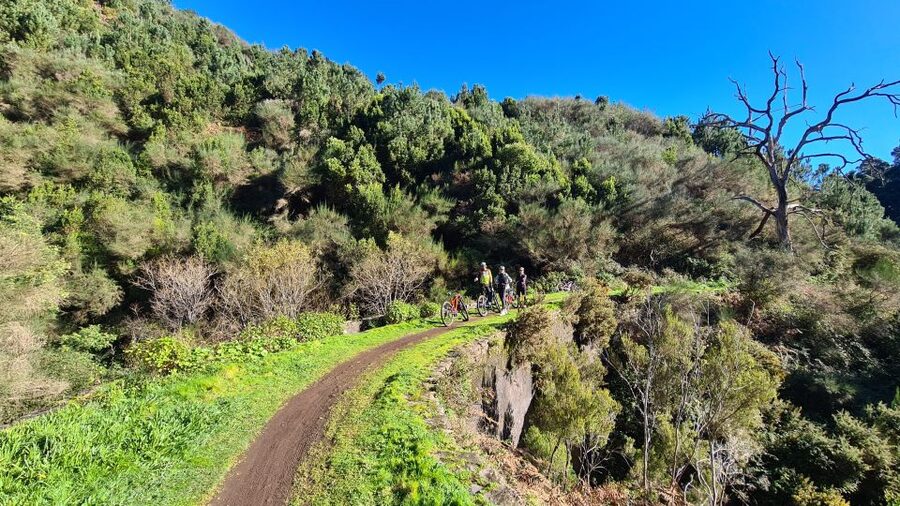 Camacha: Levada Trail e-Bike Guided Tour - Eucalyptus to Laurel Forest: Why UNESCO Matters Here