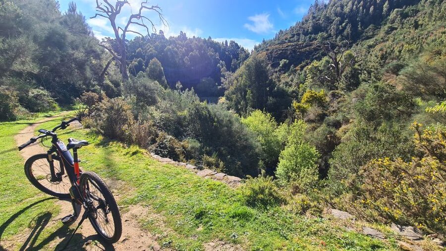 Camacha: Levada Trail e-Bike Guided Tour - Water Mill, Funny-Shaped Tree, and the Break That Resets You