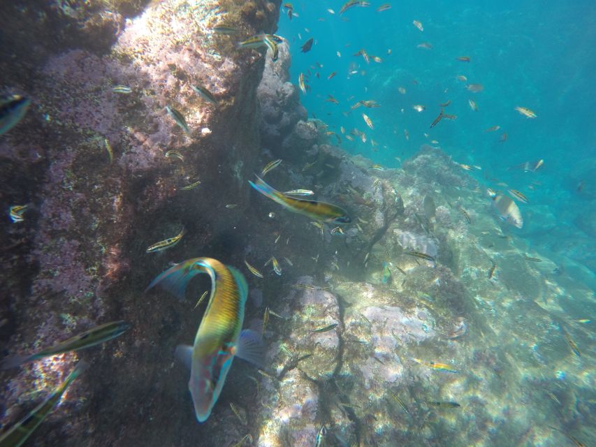 Caniço, Madeira: Marine Reserve Kayak & Snorkelling Tour - What the Included Gear Means for Your Comfort