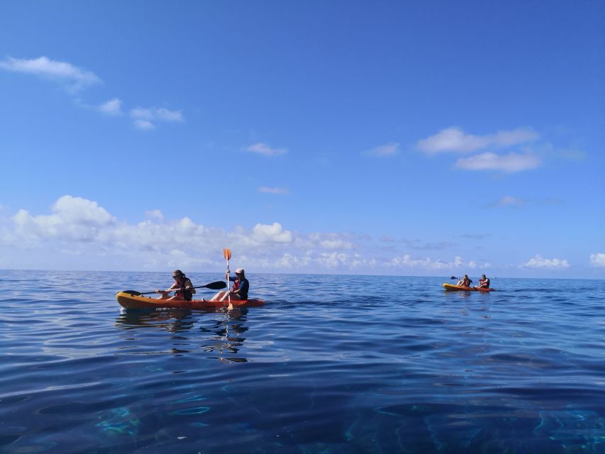 Caniço, Madeira: Marine Reserve Kayak & Snorkelling Tour - Who This Tour Suits Best, and Who Should Rethink It
