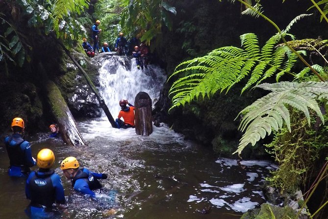 Canyoning Experience at Ribeira Grande - Gear, Safety, and the Small-Group Advantage
