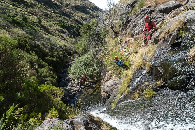 Canyoning in Madeira: Ideal for Beginners and Families - Why Canyoning in Madeira Works So Well for Families and Newcomers