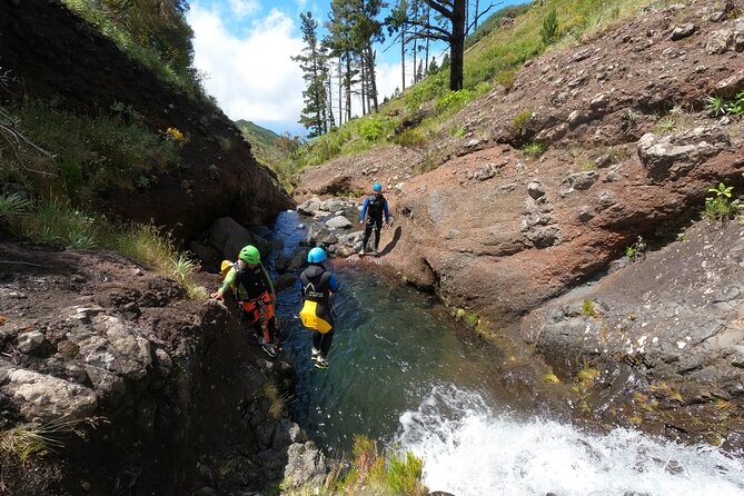 Canyoning in Madeira Island- Level 1 - The Parque Ecológico do Funchal setting you’re actually exploring