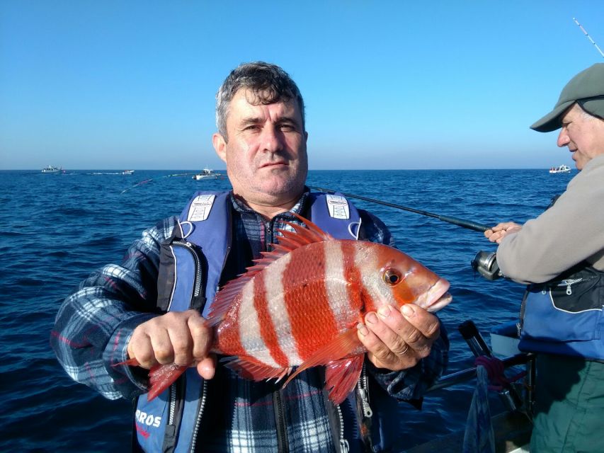 Cascais Deep-Sea Fishing Trip - Key things you will notice on this Cascais fishing trip