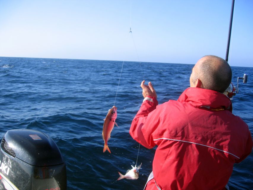 Cascais Deep-Sea Fishing Trip - From Cascais Marina to the open Atlantic, fast