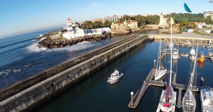 Cascais Deep-Sea Fishing Trip - What you can catch in Cascais Bay, and why it feels like success