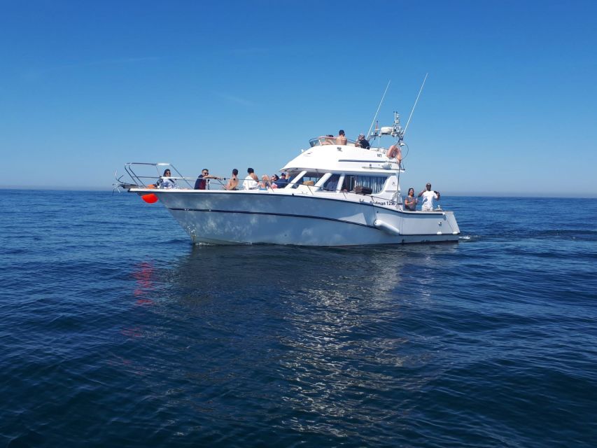 Cascais Deep-Sea Fishing Trip - Who should book this Cascais fishing trip