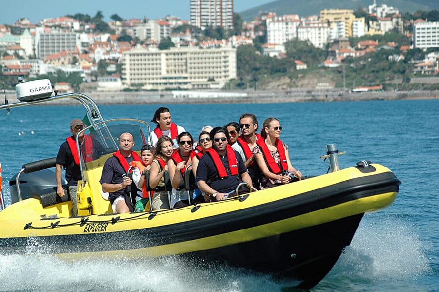 Cascais: Dolphin Watching Speedboat Tour - Should you book Dolphin Explorers in Cascais?