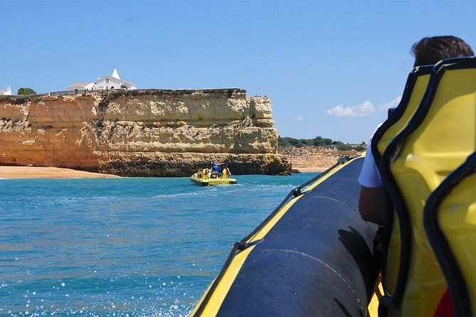 Caves and Dolphin Watching Cruise from Albufeira - Key highlights worth your attention