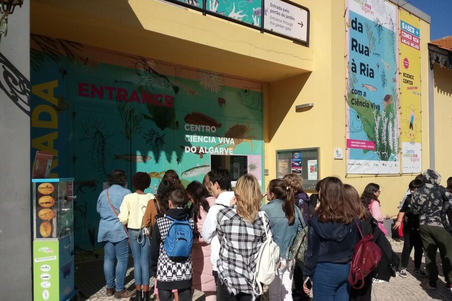 CCVAlgarve Individual Ticket - Who this experience fits best