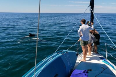 Coastal Tour on a Luxury Sailing Yacht – Vilamoura(Max 12 Guests)
