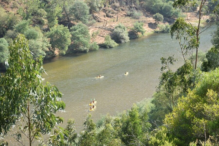 Coimbra: Mondego River Kayaking Tour - Gear, Guides, and the Small Tips That Make the Day Better