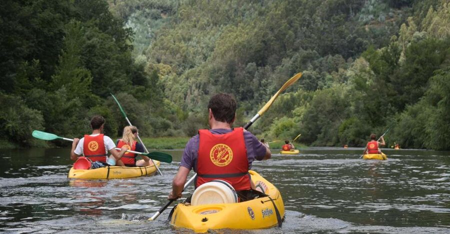 Coimbra: Mondego River Kayaking Tour - Route Basics: 18 km From Carvoeira Dam Toward Torres do Mondego