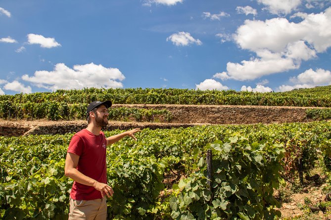 Complete Douro Valley Wine Tour with Lunch, Wine Tastings and River Cruise - Key things I’d circle before you book