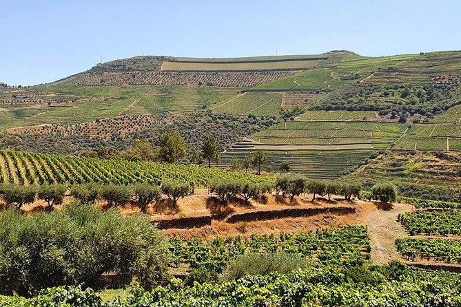 Complete Douro Valley Wine Tour with Lunch, Wine Tastings and River Cruise - Stop 3, São Cristovão do Douro: quick viewpoint energy, no long hike required