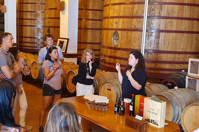Complete Douro Valley Wine Tour with Lunch, Wine Tastings and River Cruise - Stop 5 in Folgosa: the second estate and a tasting of three wines