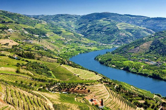 Complete Douro Valley Wine Tour with Lunch, Wine Tastings and River Cruise - The guide experience: why people mention names like Rita, Bernardo, and Pedro