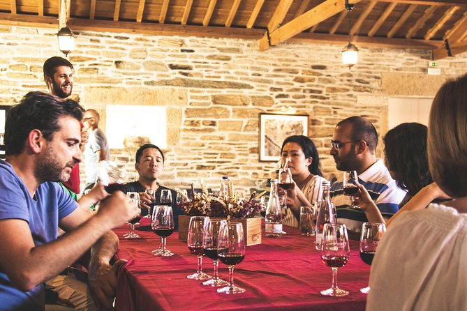 Complete Douro Valley Wine Tour with Lunch, Wine Tastings and River Cruise - Stop 2 in Sabrosa: the winery visit and the lunch you will remember