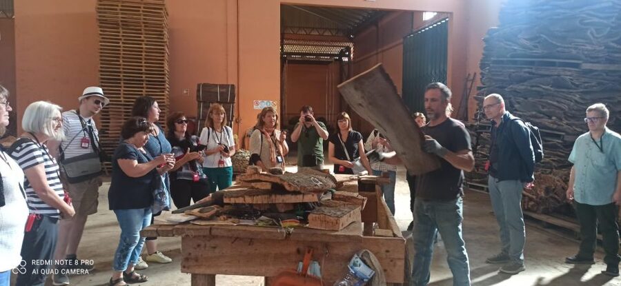 Cork Factory Tour - Key things to know before you go