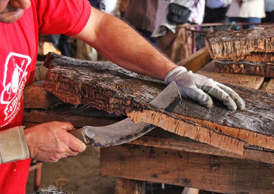 Cork Factory Tour - Entering Eco-Cork Factory: what makes this 50 minutes worth it