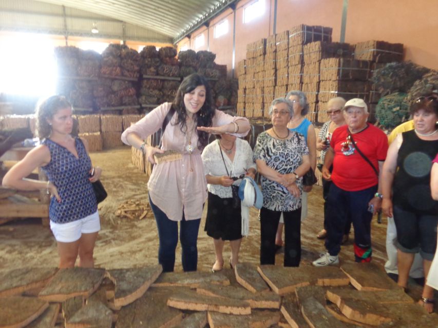 Cork Factory Tour - Season and expectations: what you might see if it is not harvest time