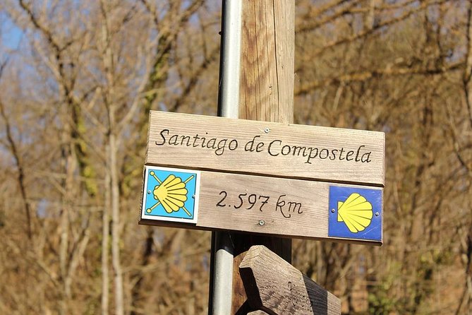 Day Trip from Porto to Santiago de Compostela and Valença - Lunch and free time realities: what’s included, what isn’t, and how to eat well