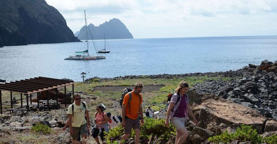 Desertas Islands Full-Day Catamaran Trip from Funchal - The South-Coast Sail: Ocean Views and Wildlife Chances