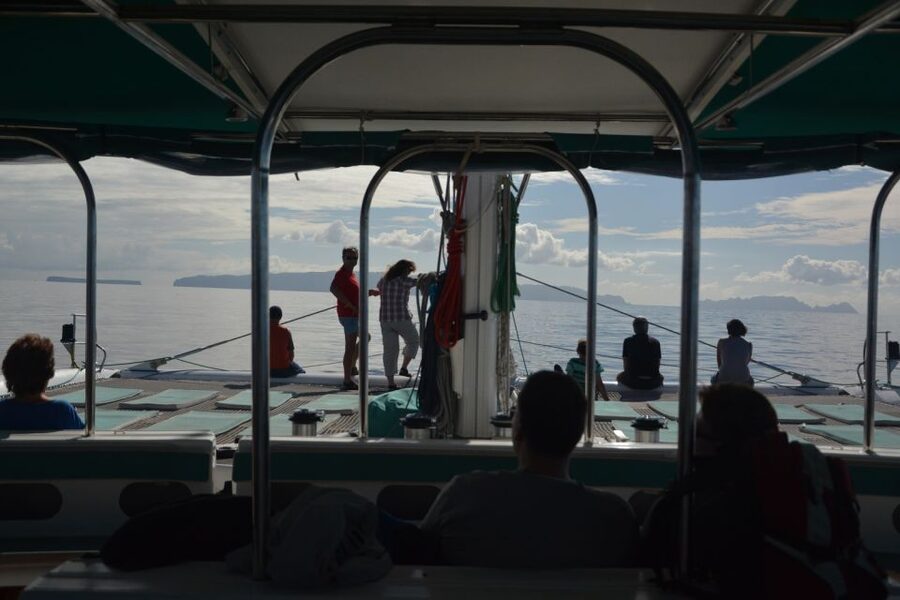 Desertas Islands Full-Day Catamaran Trip from Funchal - Meeting at VMT Madeira Kiosk and Getting Your Day Started