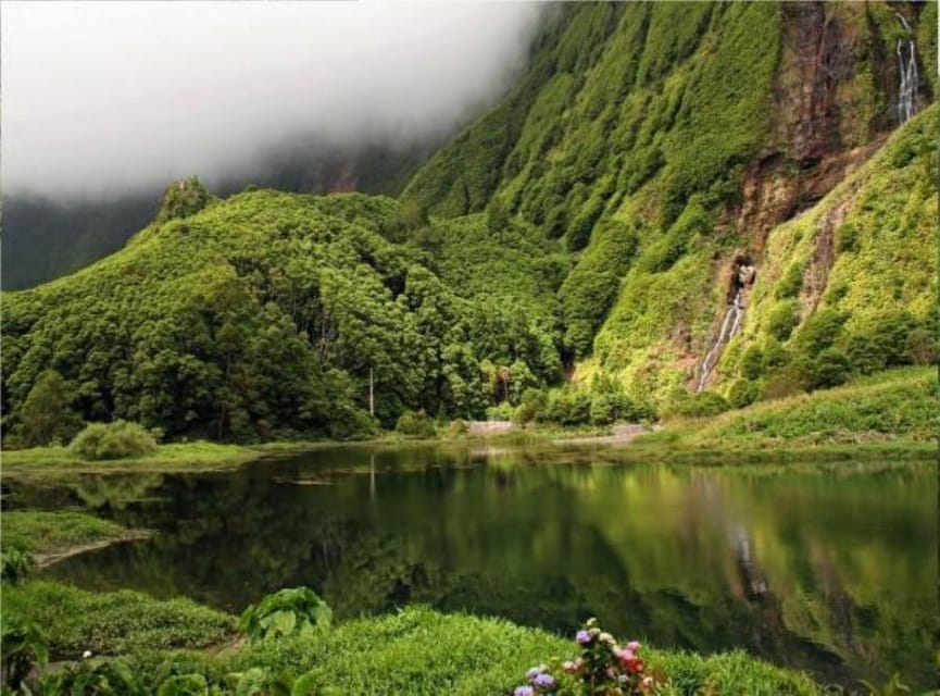 Discover Flores - Full-Day Tour | Island of Your Dreams - Jurassic Park Walk: Poço do Ribeiro do Ferreiro