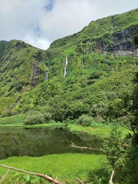 Discover Flores – Full-Day Tour | Island of Your Dreams - Pickup Across Flores, and Why the Small Van Helps