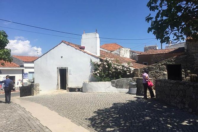 Divine Fátima Full Day Private Tour from Lisbon - Portuguese lunch that feels local, plus dietary flexibility