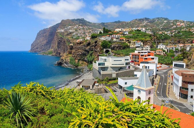 Dolphin and Whale Watching Catamaran Cruise from Funchal - A three-hour catamaran mission: dolphins, whales, and Madeira’s south coast