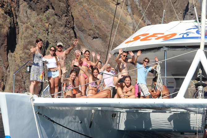 Dolphin and Whale Watching Catamaran Cruise from Funchal - Boarding, safety briefing, and what the first hour usually feels like