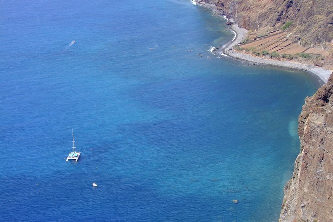 Dolphin and Whale Watching Catamaran Cruise from Funchal - Price and value: what $48.27 buys you in Madeira