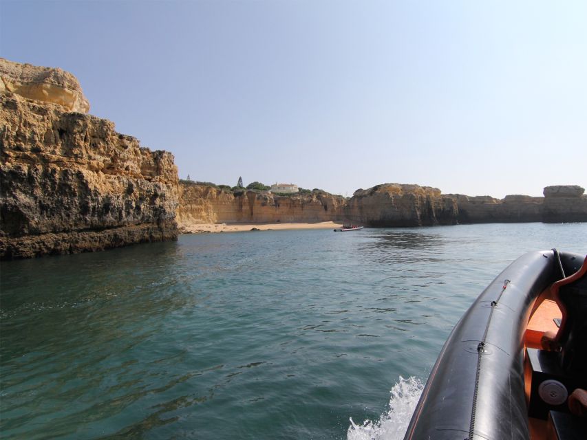 Dolphin Safari and Cave Tour in Vilamoura - Key Points Before You Go