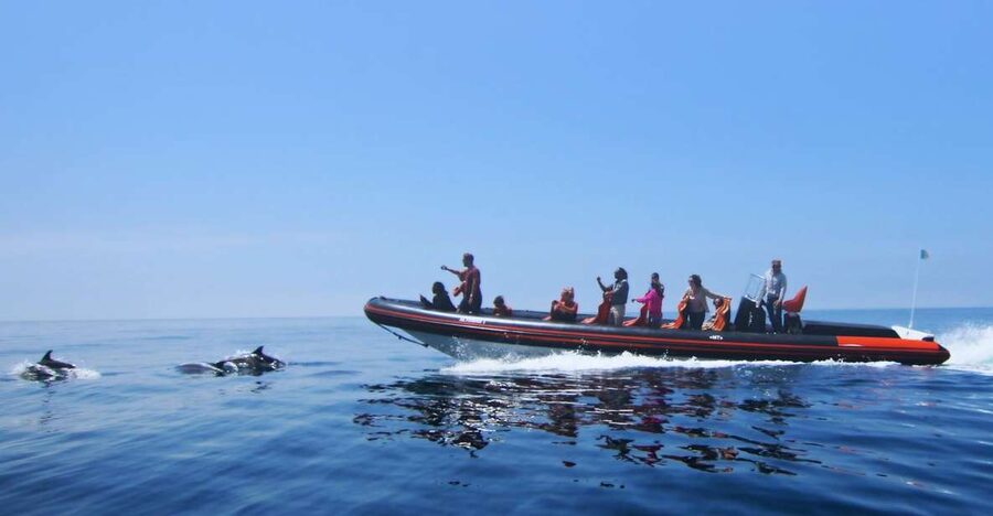 Dolphin Safari and Cave Tour in Vilamoura - Why This Vilamoura Dolphin Safari Plus Cave Cruise Works