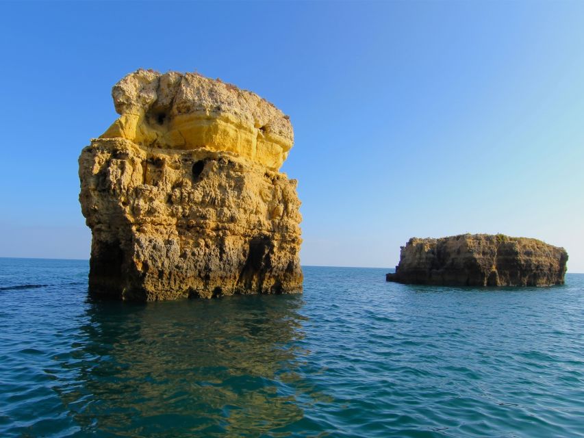 Dolphin Safari and Cave Tour in Vilamoura - Practical Tips to Make Your Day Smoother