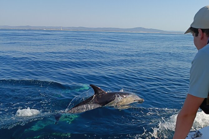 Dolphin Watching + 2 Islands Tour - From Faro - Why This Dolphin + Two-Islands Combo Feels Like a Full Day at Sea (Without Being All Day)