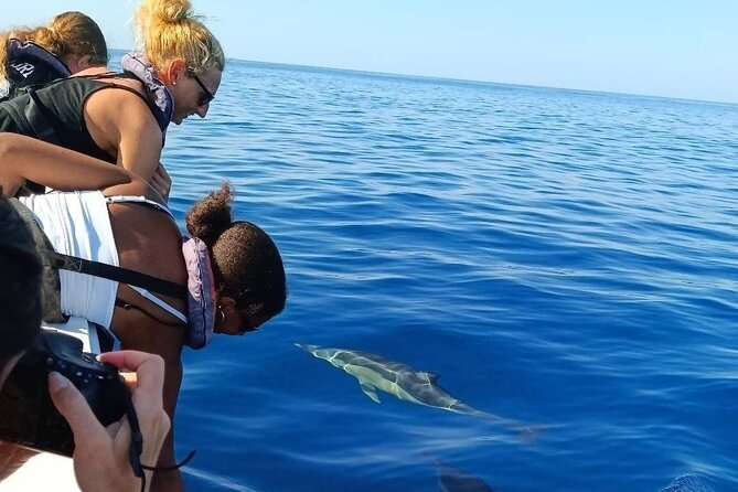 Dolphin Watching + 2 Islands Tour - From Faro - Ilha Deserta and Swim Time: The Part That Turns Wildlife Into Relaxation
