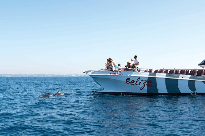 Dolphin Watching and Cave Boat Cruise from Albufeira - Getting Oriented: Where This Cruise Starts and How It Runs