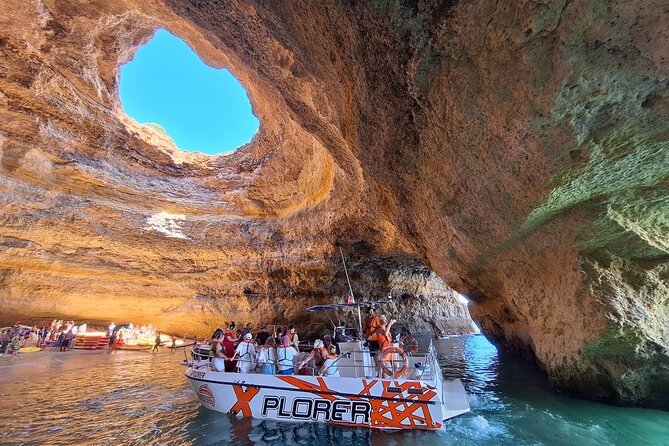 Dolphin Watching and Caves Cruise - Key Highlights You’ll Care About