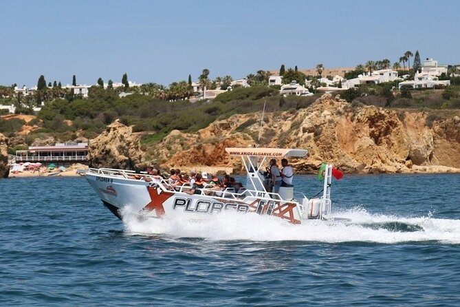 Dolphin Watching and Caves Cruise - Meeting at Cais H, Getting Seated, and How the Crew Runs the Day