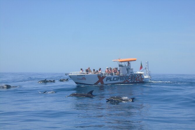 Dolphin Watching and Caves Cruise - Coastline Cruising to Carvoeiro Area: Beaches, Caves, and Dolphin Chances